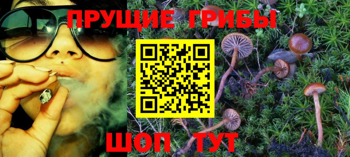 Галлюциногенные грибы Cubensis  Вход с VPN  даркнет сайт  Воскресенск 